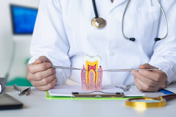 Best Emergency Root Canal Treatment in North Olmsted, OH